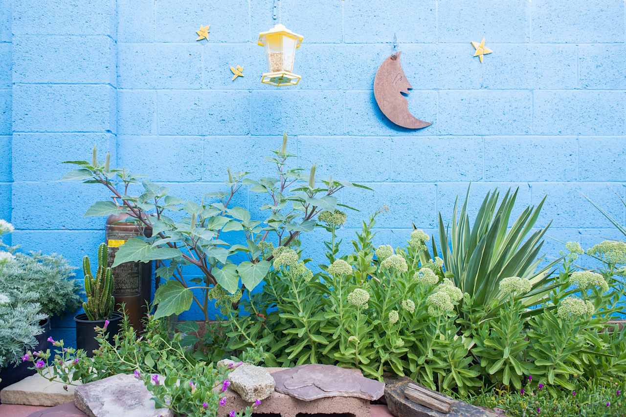 Cute plantings everywhere.