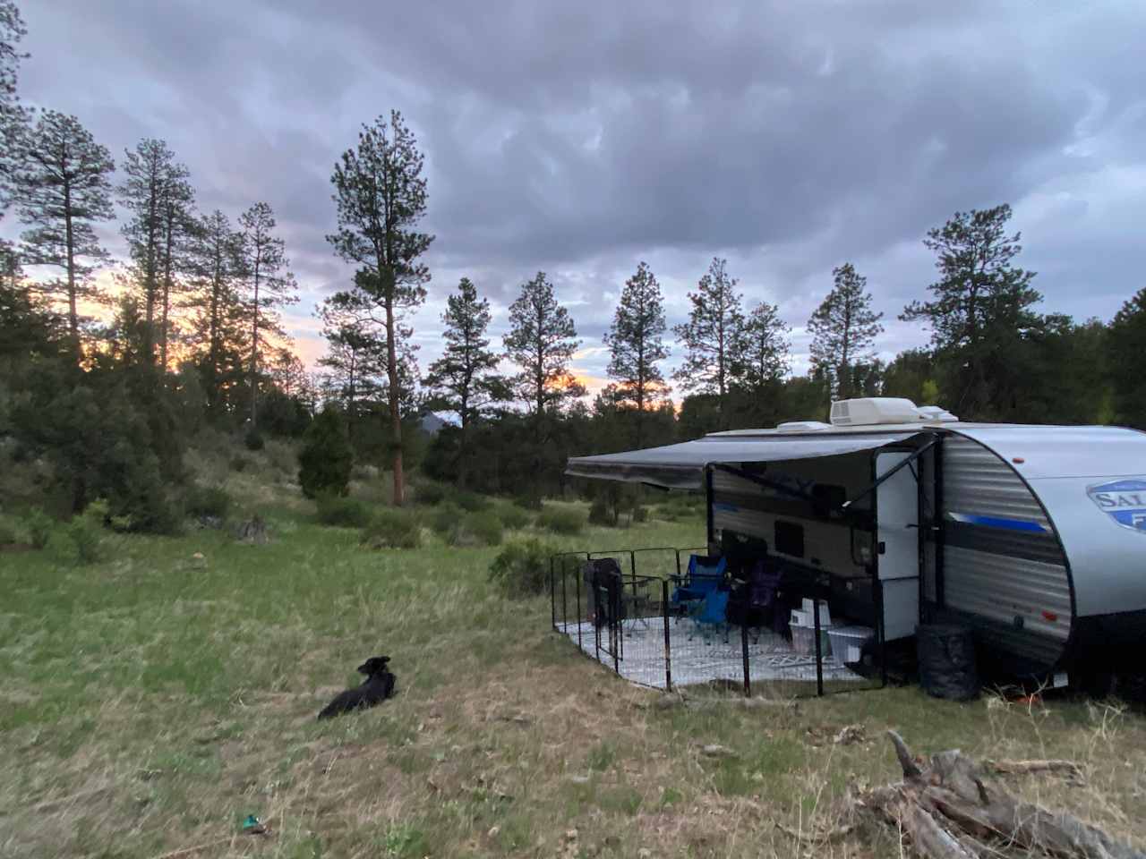 Serenity in the Foothills