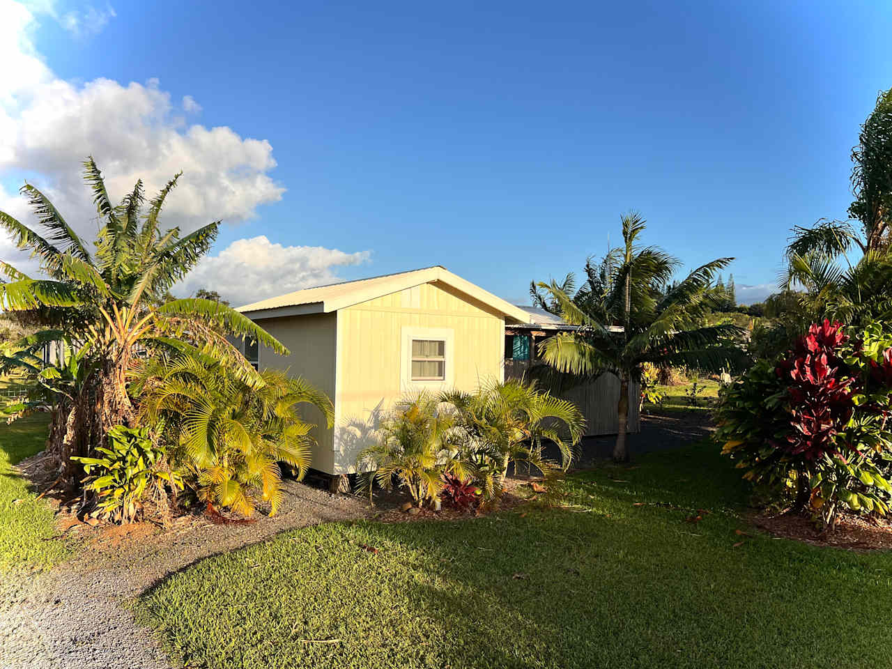Northshore Experience