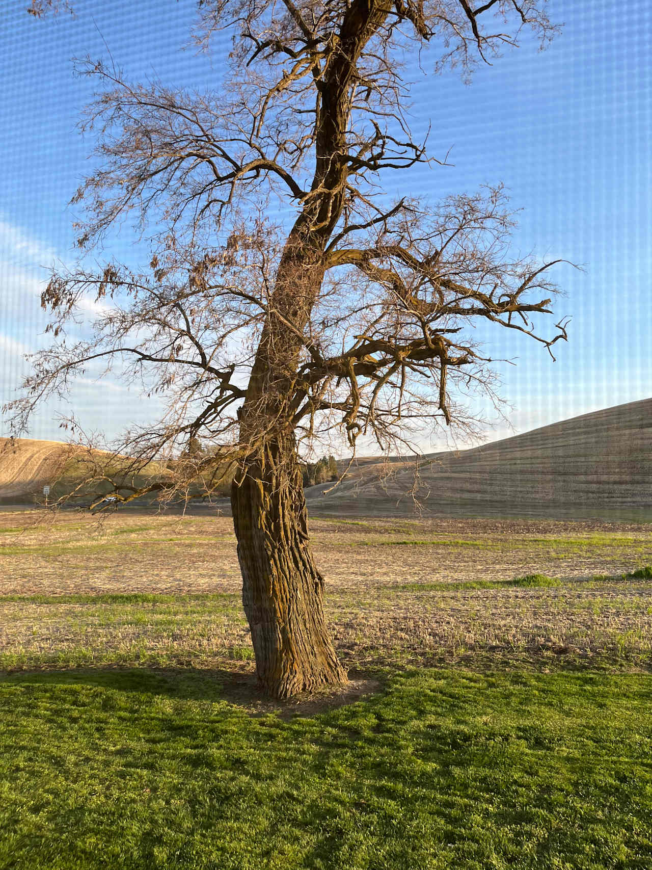 Buck Canyon Barn