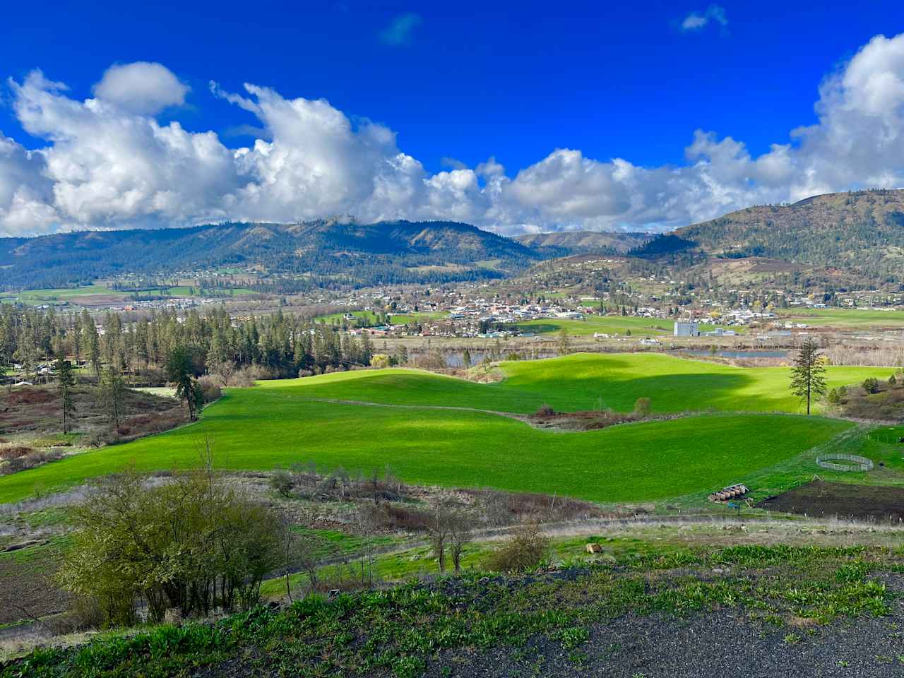 Kamiah View