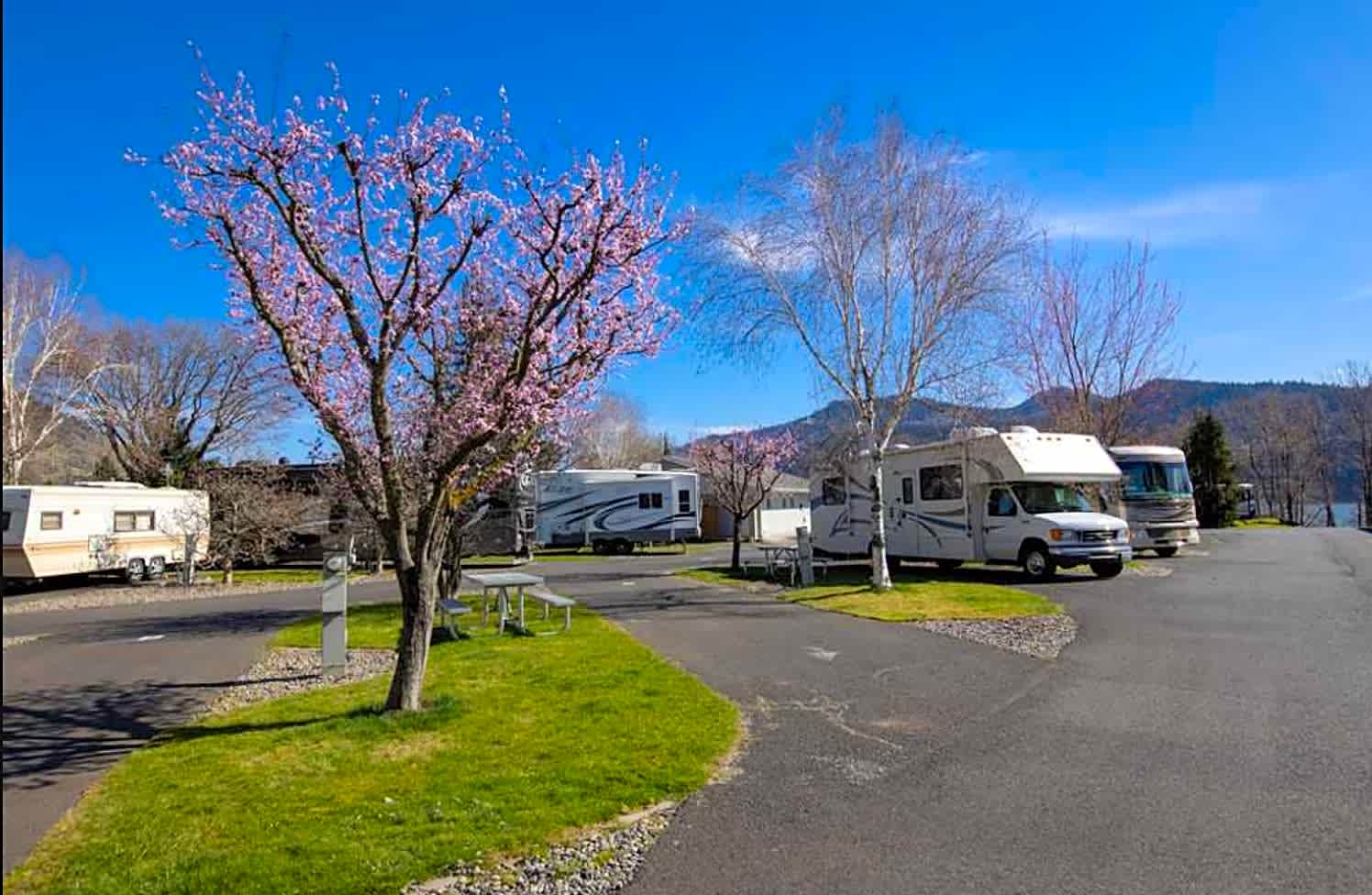 Standard Pull-Through RV Site