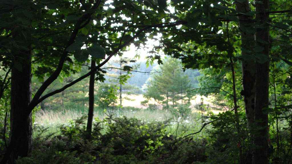 Potawatomi Campground