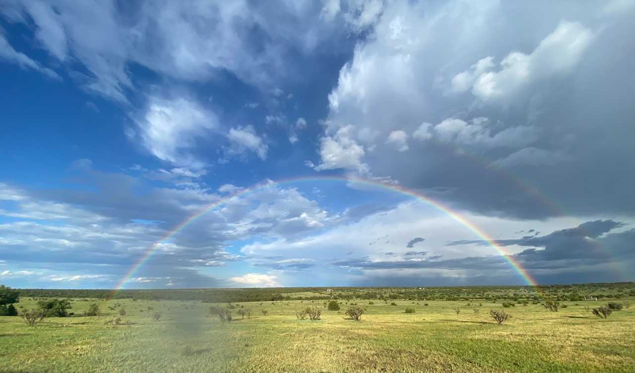 View from the front door- feeling blessed 🌈  