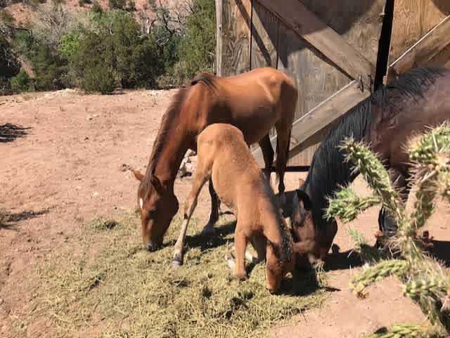 another view of Roxanne and her mom