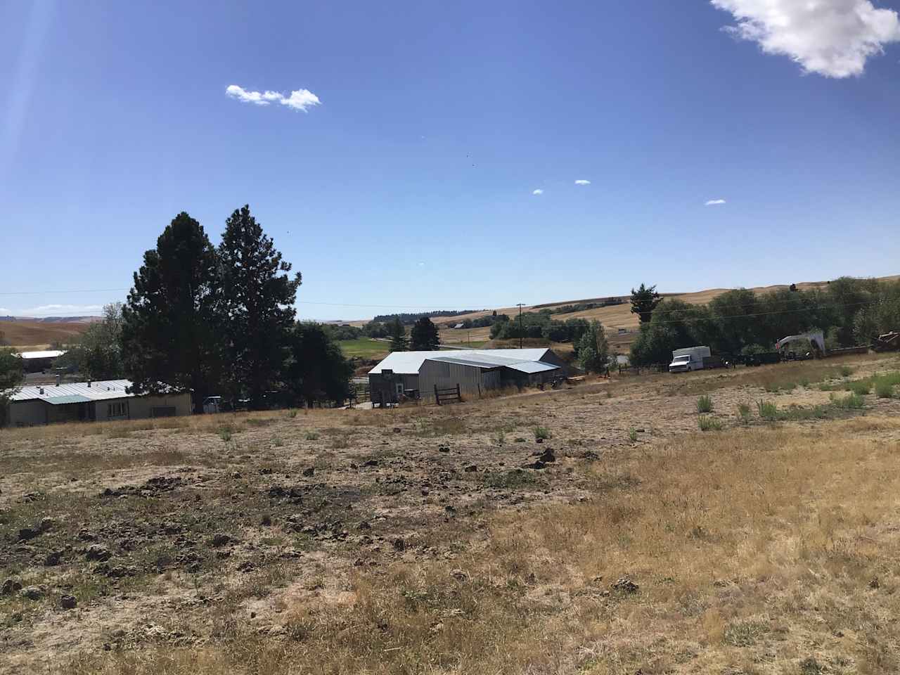 Triple Tree Ranch