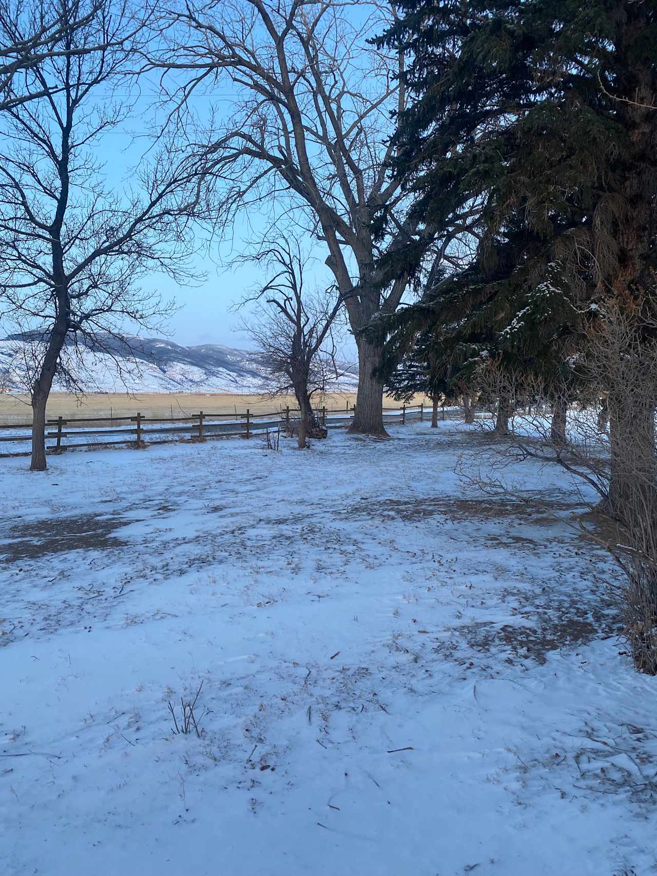 Silverside Ranch