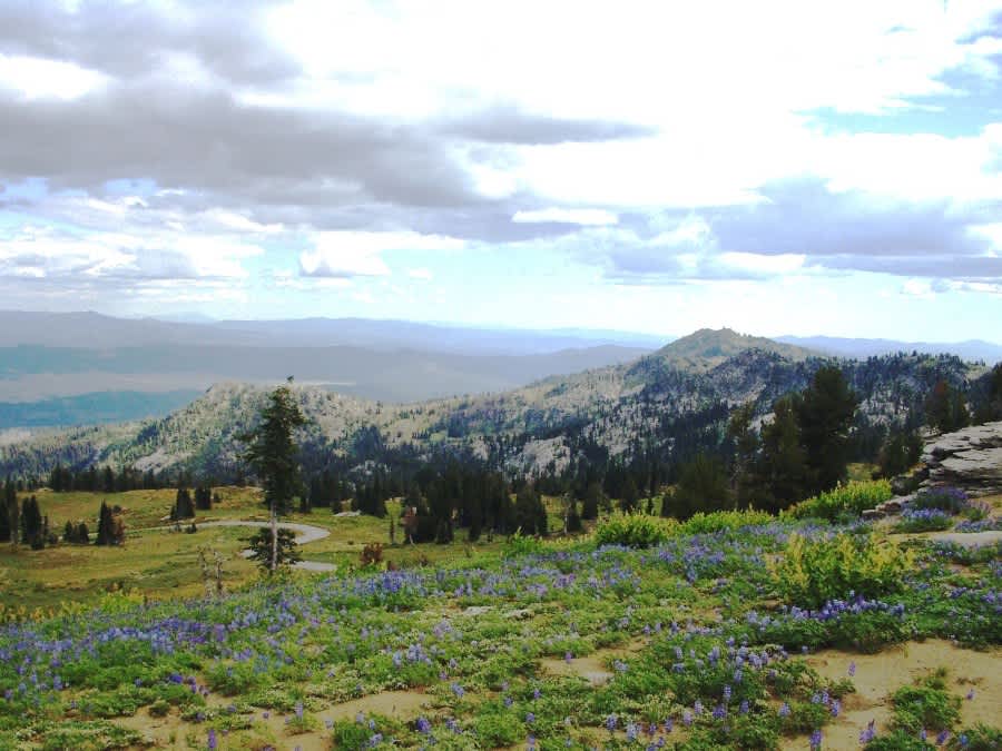 Cottonwood Campground