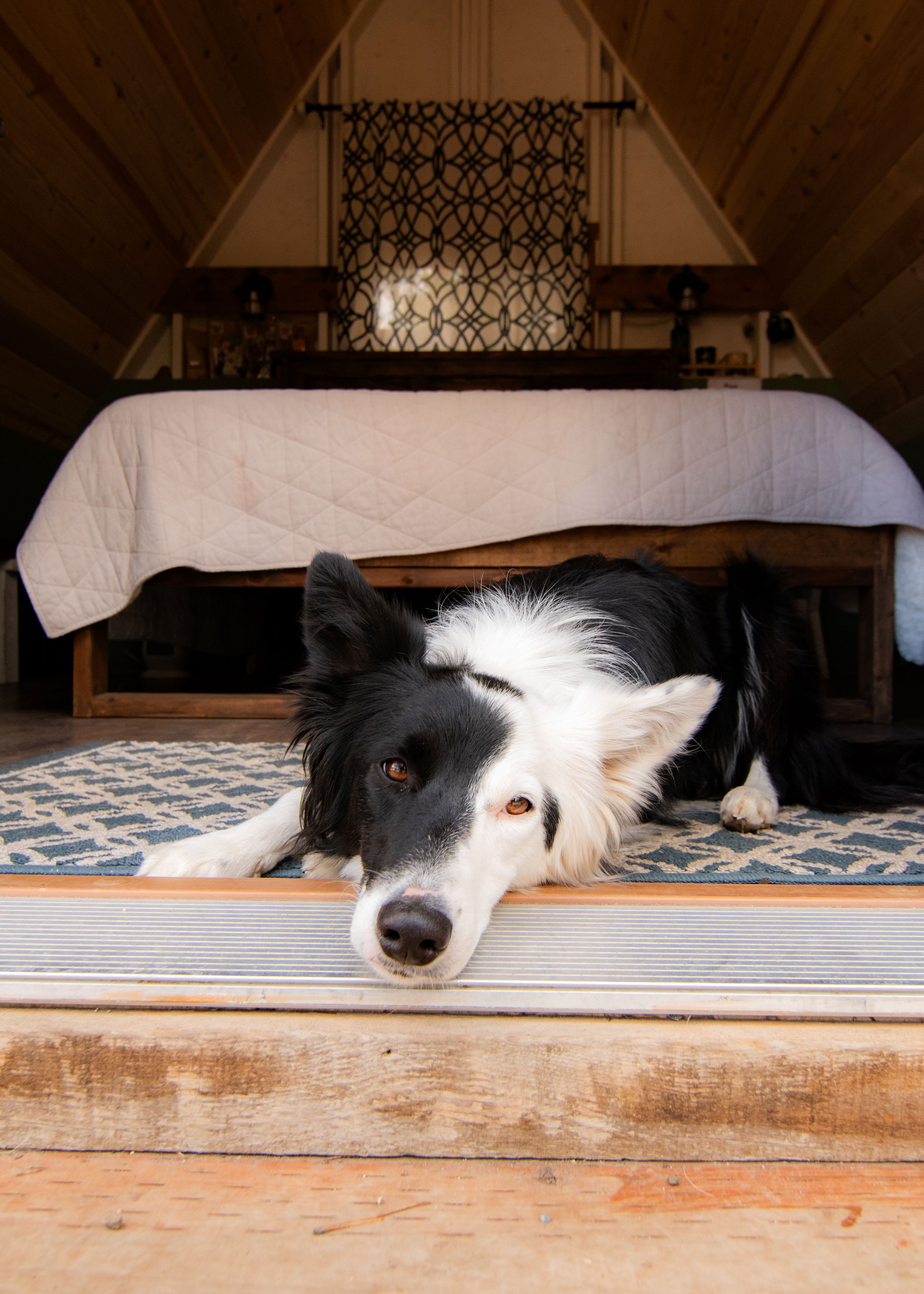 Stanley RV + Basecamp Lodge