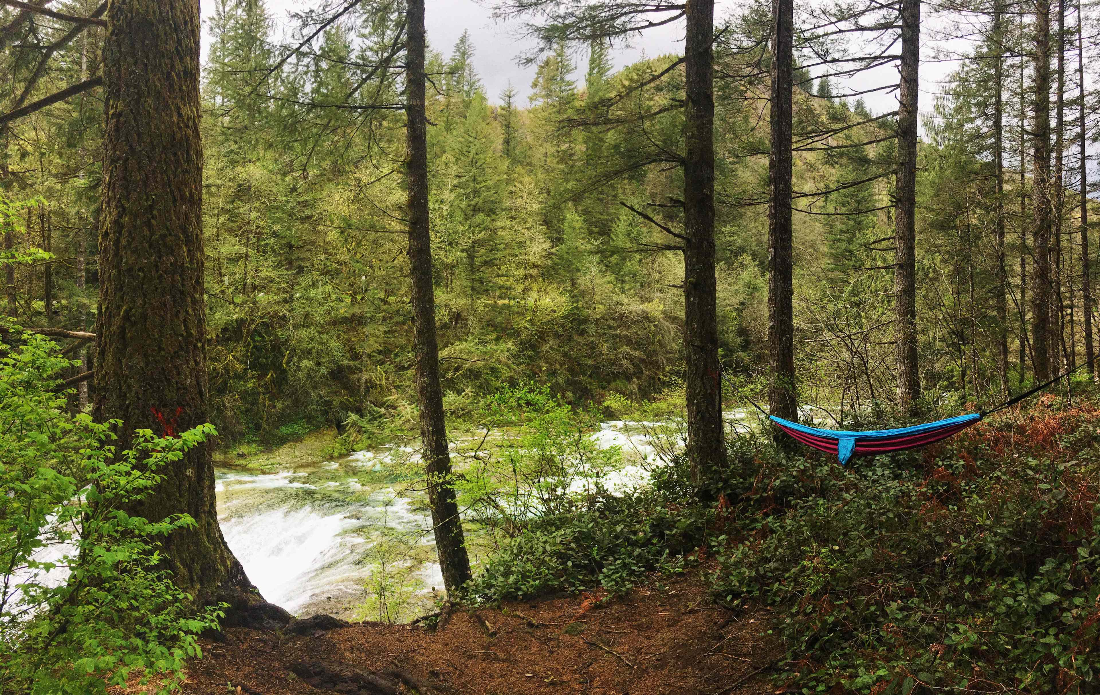 Naturally the first thing we did was set up the hammock.