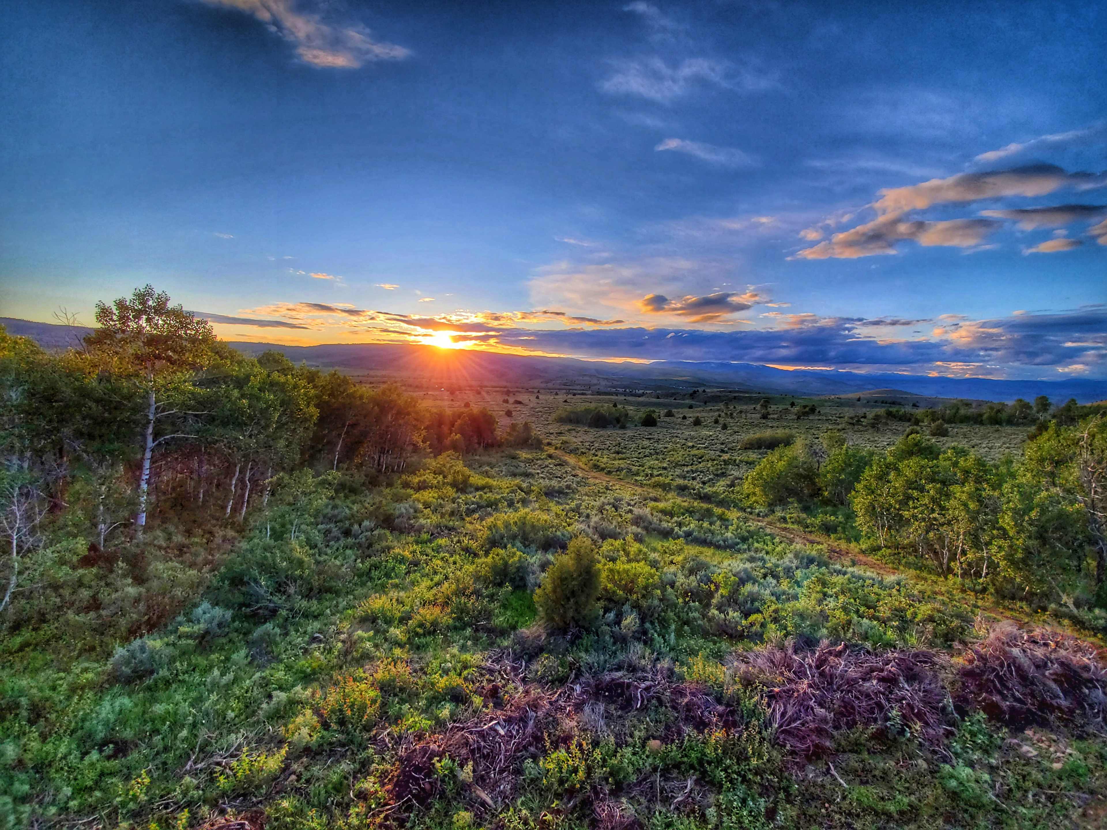 Beautiful sunsets!
