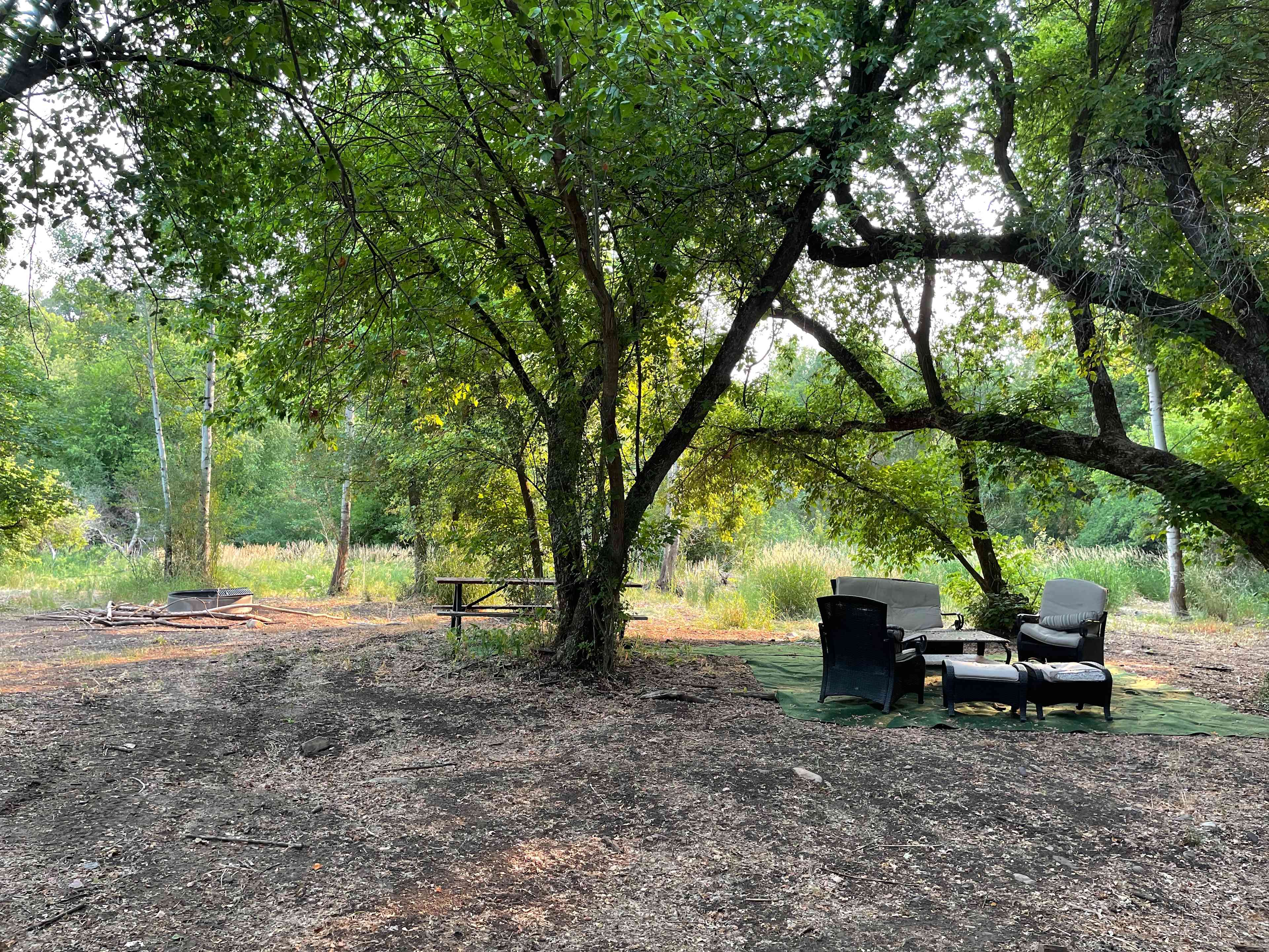 Site 1